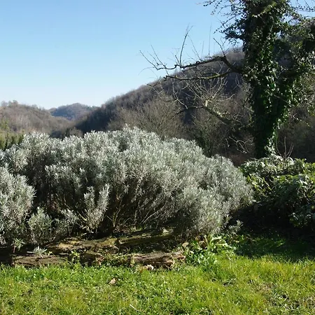 Farm stay Corte Del Maso